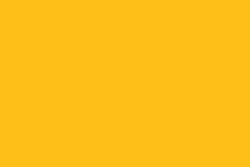 Nekoosa EZ-Color Sunflower Yellow