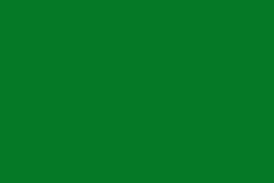 Nekoosa EZ-Color Medium Green